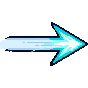 Wild Momentum