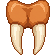 Coypú Teeth